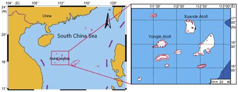 西沙羣島的海洋生物之謎：那些繁盛的魚類世界